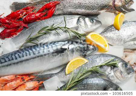 Fresh fish and seafood on ice, closeup 103616505