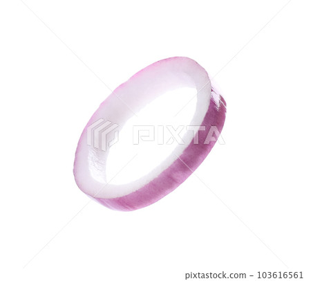 Cut red onion isolated on white. Ingredient for sandwich 103616561