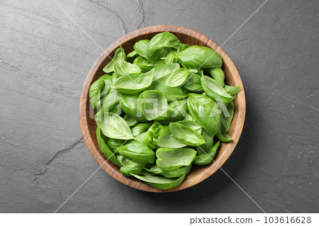 Fresh basil leaves on grey table, top view 103616628