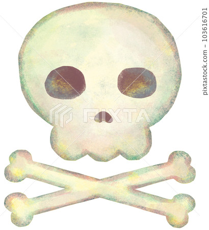 simple skull illustration simple skull illustration 103616701