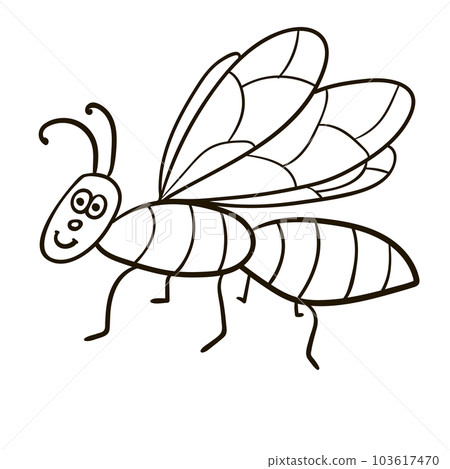 Cartoon doodle linear midge, fly isolated on white background. 103617470