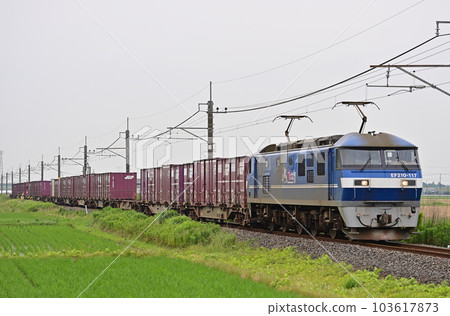 成田線滑川～下總神崎 JR Freight EF210-117（新鶴見） 103617873