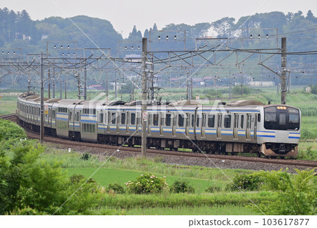 總武本線櫻Monoi JR東E217系列Y-20編隊（鎌倉） 103617877