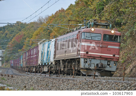 Hokuriku Main Line Tsubata-Kurikara JR Freight EF81-125 (Toyama) Hokuriku Main Line Tsubata-Kurikara JR Freight EF81-125 (Toyama) 103617903