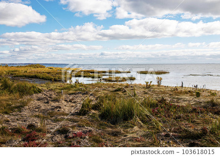 Marsh land on the great south bay in Bay Shore Long Island 103618015