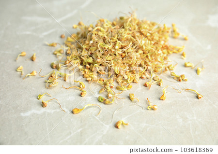 Heap of sprouted green buckwheat on light table, closeup 103618369