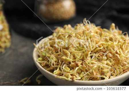 Bowl of sprouted green buckwheat on grey table, closeup 103618377