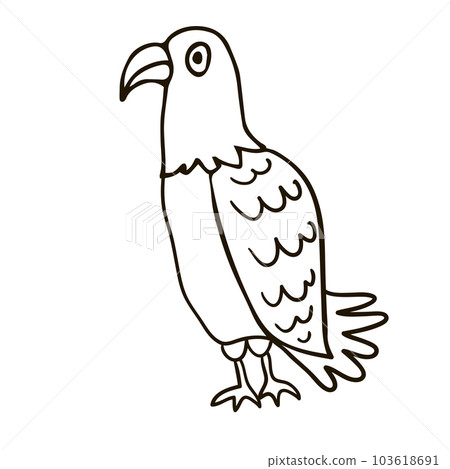 Cartoon doodle linear eagle isolated on white background. 103618691