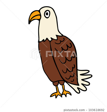 Cartoon doodle linear eagle isolated on white background. 103618692