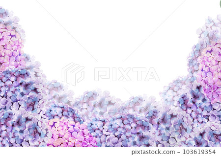 hydrangea flower watercolor illustration for frame and postcard. decorating ideas for invitation cards 103619354