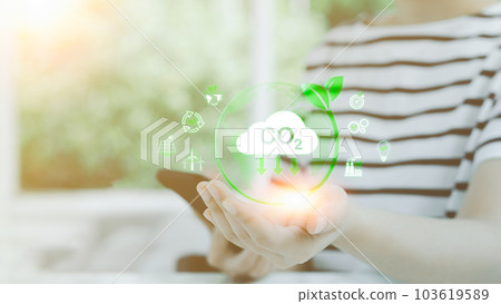Reduce CO2 emission concept. In woman hand there is a globe and environmental icons. Net zero, Carbon neutrality, global warming, Sustainable development and green business based on renewable energy. 103619589