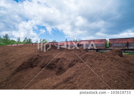 peat transport wagons at the loading point. Raised platform for loading and unloading peat. 103619733