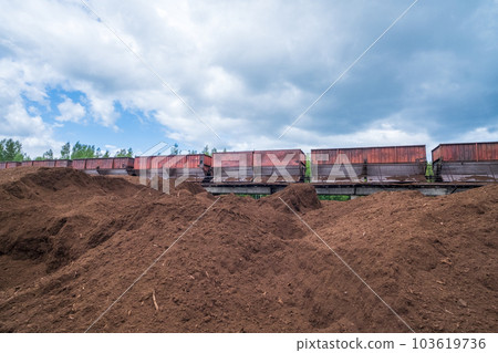 peat transport wagons at the loading point. Raised platform for loading and unloading peat. 103619736