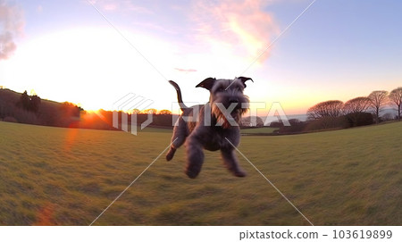 Cute puppy playing outside. Lifestyle dynamic dog photo in casual camera style. Generated AI. 103619899