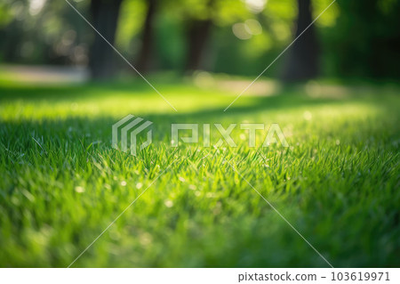 Neatly trimmed lawn on blurred spring background. Ground level view. Generative AI 103619971