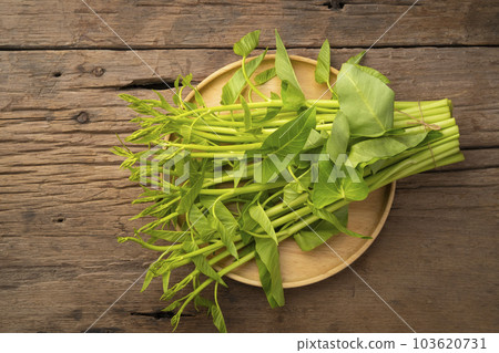 Thai Water Convolvulus,Pile of Water Spinach or Ipomoea Aquatica in wooden table 103620731