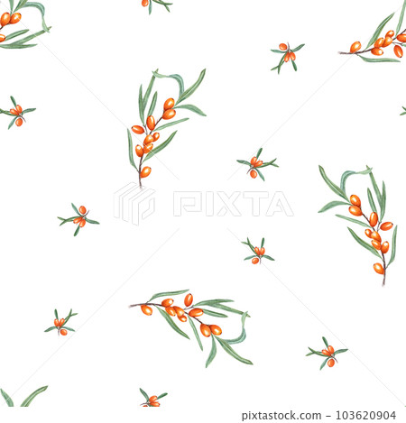 Watercolor seamless pattern of sea buckthorn branch isolated on white background. Botanical illustration with orange berries for room decor, print, postcards, textile design. 103620904