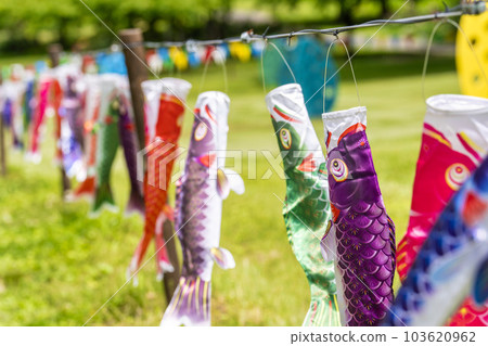 A park with a hill, early summer, carp streamer monument, Kami-cho, Miyagi Prefecture A park with a hill, early summer, carp streamer monument, Kami-cho, Miyagi Prefecture 103620962