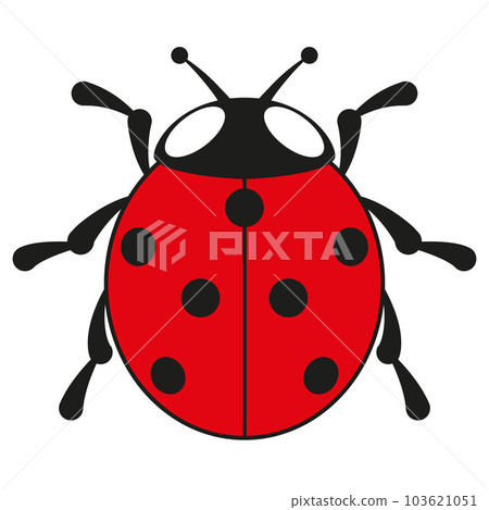 seven spot ladybird, color vector illustration of seven spotted ladybug, isolated on white seven spot ladybird, color vector illustration of seven spotted ladybug, isolated on white 103621051