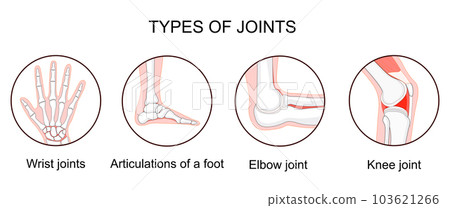 Types of joints Types of joints 103621266