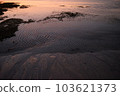 傍晚在印度尼西亞吉利島的海灘 103621373