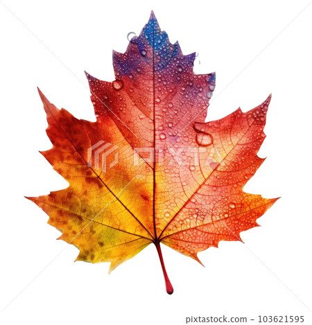 Autumn leaf isolated. Illustration AI Generative Autumn leaf isolated. Illustration AI Generative 103621595