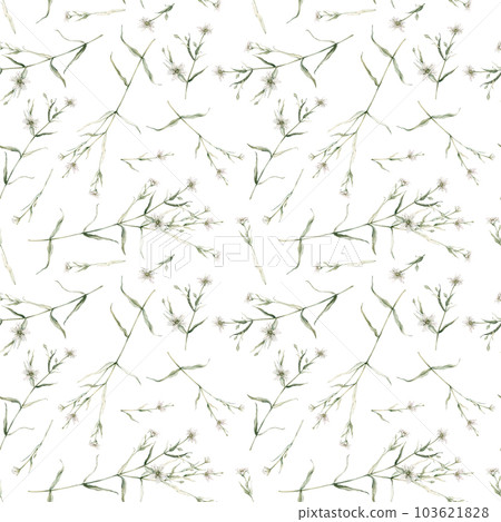 Watercolor seamless pattern with stellaria holostea. Rabelera holostea. Hand painted small white flower and leaves isolated on white background. Illustration for design, fabric, print or background. Watercolor seamless pattern with stellaria holostea. Rabelera holostea. Hand painted small white flower and leaves isolated on white background. Illustration for design, fabric, print or background. 103621828