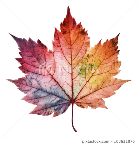 Autumn leaf isolated. Illustration AI Generative Autumn leaf isolated. Illustration AI Generative 103621876
