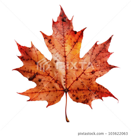 Autumn leaf isolated. Illustration AI Generative Autumn leaf isolated. Illustration AI Generative 103622063