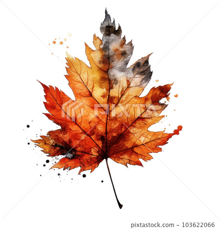 Autumn leaf isolated. Illustration AI Generative Autumn leaf isolated. Illustration AI Generative 103622066