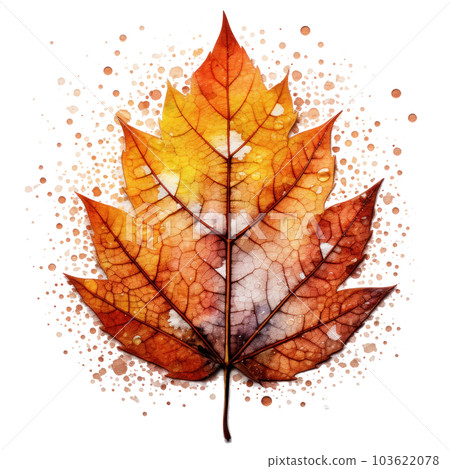 Autumn leaf isolated. Illustration AI Generative Autumn leaf isolated. Illustration AI Generative 103622078
