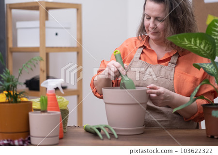 Female caring for her plants at home, repotting them into a new pot, florist provides support for household flora through fertilization, soil enrichment, and other horticultural techniques. Female caring for her plants at home, repotting them into a new pot, florist provides support for household flora through fertilization, soil enrichment, and other horticultural techniques. 103622322