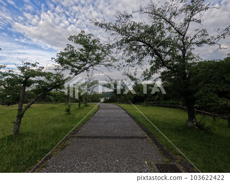 Lake Hamana, Shizuoka Prefecture, view from the service area 103622422