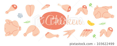 Raw chicken meat parts. Butcher shop. Chicken farming products. Whole chicken, brisket wing, carcass, fillet, ham, leg, breast, shank, drumstick. 103622499