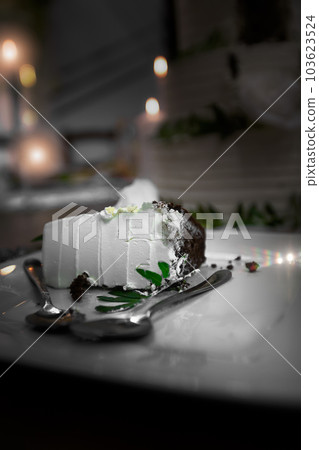 wedding ceremony of the newlyweds in July 2021 in Ukraine in Zhytomer. Creative photo. bridesmaids have fun. Young people are celebrating a wedding. High quality photo.  103623524