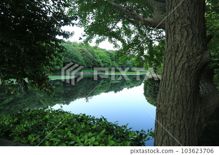 我在三池公園散步 我在三池公園散步 103623706