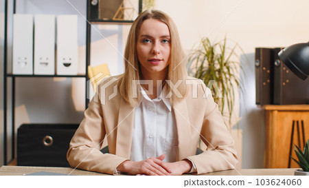 Businesswoman works on laptop at office talk on online communication video call with employee, boss 103624060