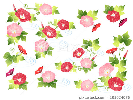 red morning glory frame set red morning glory frame set 103624076