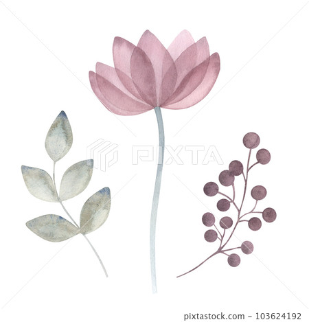 Watercolor transparent flowers leaves. Floral set in pastel purple, pink, blue, green colors. Hand drawn illustration isolated on white background. For design of wedding, postcard, patterns Watercolor transparent flowers leaves. Floral set in pastel purple, pink, blue, green colors. Hand drawn illustration isolated on white background. For design of wedding, postcard, patterns 103624192