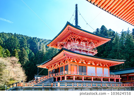 Mount Hiei, Hokke Sojiin East Pagoda of Enryakuji Temple Mount Hiei, Hokke Sojiin East Pagoda of Enryakuji Temple 103624558