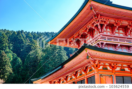 Mount Hiei, Hokke Sojiin East Pagoda of Enryakuji Temple Mount Hiei, Hokke Sojiin East Pagoda of Enryakuji Temple 103624559