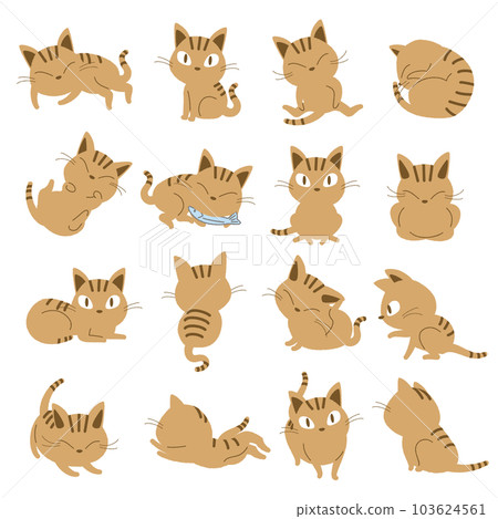 Vector illustration set of brown tabby Vector illustration set of brown tabby 103624561