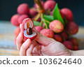 fresh ripe lychee fruit tropical fruit peeled lychees slice in Thailand, lychees on hand 103624640