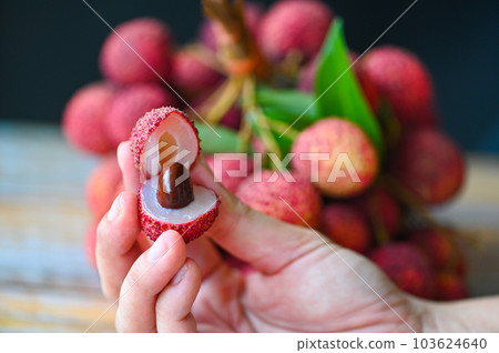 fresh ripe lychee fruit tropical fruit peeled lychees slice in Thailand, lychees on hand 103624640