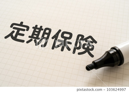 筆記本和寫有定期保險的記號筆 筆記本和寫有定期保險的記號筆 103624997