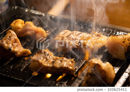 Grilled meat Grilled meat 103625451
