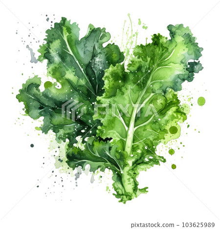 Fresh Organic Kale Vegetable Watercolor Square Background. Healthy Vegetarian Diet. Ai Generated, Drawn With Paint Splashes On White Background Delicious Juicy Kale Vegetable. 103625989