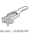 Vector illustration of hand drawn wooden spoon with corn seeds. Sketched concept. Black line art drawing, isolated on white background. Gluten food ingredient graphics. 103626748