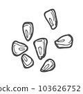 Corn seeds sketch. Outline vector icon. Corn concept 103626752