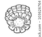 Doodle piece of corn sketch on white background 103626764